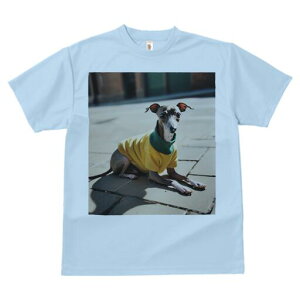 C^AO[nEh TVc fB[X t@  t  vg JWA 킢 lԗp h ̃fUC ʔ Z[^[ C^AO[nEh 