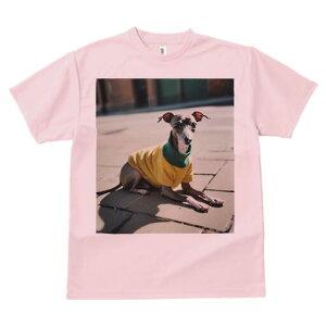 C^AO[nEh TVc fB[X t@  t  vg JWA 킢 lԗp h ̃fUC ʔ Z[^[ C^AO[nEh 