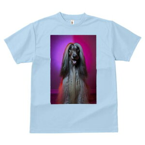 AtKnEh TVc fB[X t@  t  vg JWA 킢 lԗp h ̃fUC ʔ AtKnEh