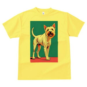 EGXgnChzCgeA TVc fB[X t@  t  vg JWA 킢 lԗp h ̃fUC ʔ EGXgnChzCgeA