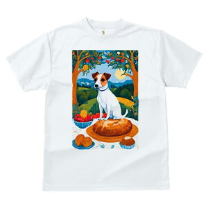 WbNbZeA TVc fB[X t@  t  vg JWA 킢 lԗp h ̃fUC ʔ ʕ WbNbZeA P[L  i