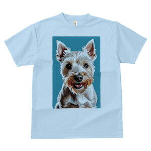 EGXgnChzCgeA TVc fB[X t@  t  vg JWA 킢 lԗp h ̃fUC ʔ EGXgnChzCgeA