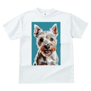 EGXgnChzCgeA TVc Y LbY t@  t  vg JWA 킢 lԗp h ̃fUC ʔ EGXgnChzCge