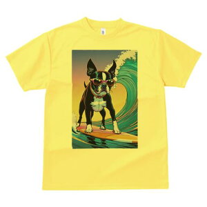 {XgeA TVc fB[X t@  t  vg JWA 킢 lԗp h ̃fUC ʔ g {XgeA T[tB TOX