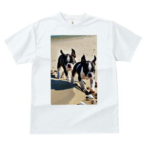 {XgeA TVc fB[X t@  t  vg JWA 킢 lԗp h ̃fUC ʔ l {XgeA C