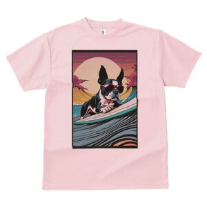 {XgeA TVc fB[X t@  t  vg JWA 킢 lԗp h ̃fUC ʔ T[tB {XgeA C g z