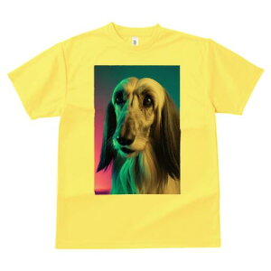 AtKnEh TVc fB[X t@  t  vg JWA 킢 lԗp h ̃fUC ʔ AtKnEh