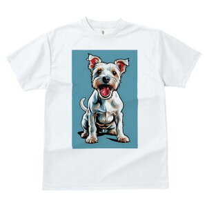 m[tH[NeA TVc fB[X t@  t  vg JWA 킢 lԗp h ̃fUC ʔ m[tH[NeA