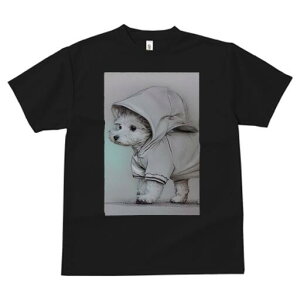 EGXgnChzCgeA TVc fB[X t@  t  vg JWA 킢 lԗp h ̃fUC ʔ t[h EGXgnChzCg