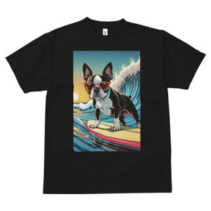 {XgeA TVc fB[X t@  t  vg JWA 킢 lԗp h ̃fUC ʔ g {XgeA T[tB C z