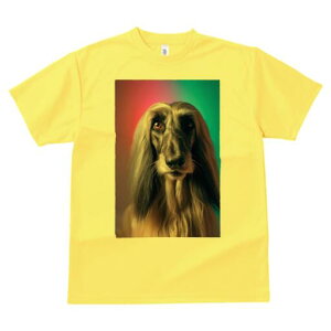 AtKnEh TVc fB[X t@  t  vg JWA 킢 lԗp h ̃fUC ʔ AtKnEh