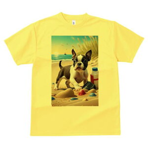 {XgeA TVc fB[X t@  t  vg JWA 킢 lԗp h ̃fUC ʔ r[` {XgeA C  