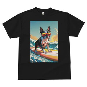 {XgeA TVc fB[X t@  t  vg JWA 킢 lԗp h ̃fUC ʔ T[tB {XgeA C g TOX