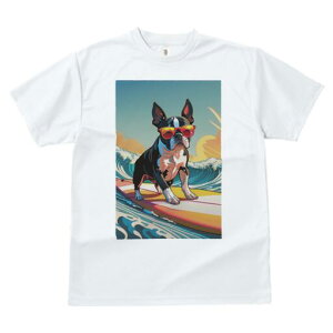 {XgeA TVc fB[X t@  t  vg JWA 킢 lԗp h ̃fUC ʔ T[tB {XgeA C g TOX