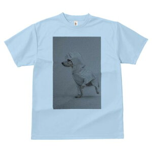 v[h TVc fB[X t@  t  vg JWA 킢 lԗp h ̃fUC ʔ CR[g v[h t[h