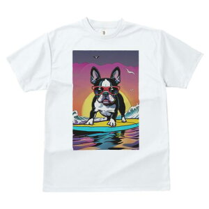 {XgeA TVc fB[X t@  t  vg JWA 킢 lԗp h ̃fUC ʔ TOX {XgeA T[tB C g