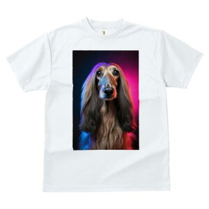 AtKnEh TVc fB[X t@  t  vg JWA 킢 lԗp h ̃fUC ʔ AtKnEh