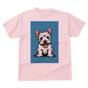 EGXgnChzCgeA TVc fB[X t@  t  vg JWA 킢 lԗp h ̃fUC ʔ 킢 EGXgnChzC