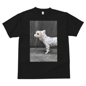 EGXgnChzCgeA TVc fB[X t@  t  vg JWA 킢 lԗp h ̃fUC ʔ CR[g EGXgnChz