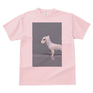 EGXgnChzCgeA TVc fB[X t@  t  vg JWA 킢 lԗp h ̃fUC ʔ t[h EGXgnChzCg