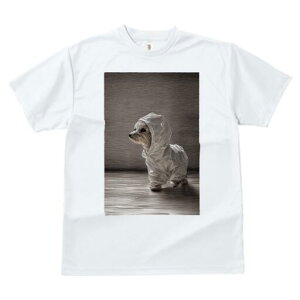 }`[Y TVc fB[X t@  t  vg JWA 킢 lԗp h ̃fUC ʔ CR[g }`[Y