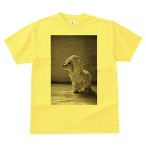 }`[Y TVc fB[X t@  t  vg JWA 킢 lԗp h ̃fUC ʔ CR[g }`[Y