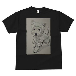 EGXgnChzCgeA TVc fB[X t@  t  vg JWA 킢 lԗp h ̃fUC ʔ CR[g EGXgnChz