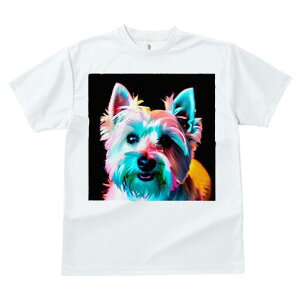 EGXgnChzCgeA TVc Y LbY t@  t  vg JWA 킢 lԗp h ̃fUC ʔ EGXgnChzCge