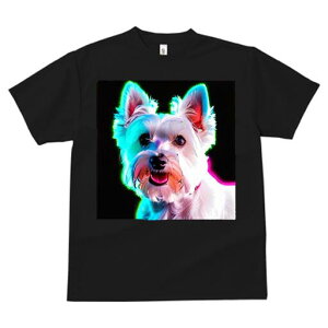 EGXgnChzCgeA TVc fB[X t@  t  vg JWA 킢 lԗp h ̃fUC ʔ EGXgnChzCgeA