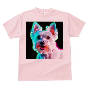 EGXgnChzCgeA TVc fB[X t@  t  vg JWA 킢 lԗp h ̃fUC ʔ EGXgnChzCgeA