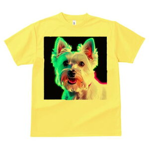 EGXgnChzCgeA TVc fB[X t@  t  vg JWA 킢 lԗp h ̃fUC ʔ EGXgnChzCgeA