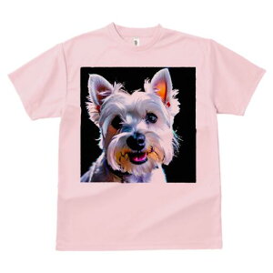 EGXgnChzCgeA TVc fB[X t@  t  vg JWA 킢 lԗp h ̃fUC ʔ EGXgnChzCgeA