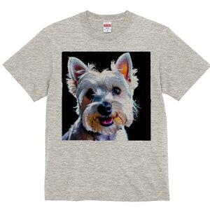 EGXgnChzCgeA TVc fB[X t@  t  vg JWA 킢 lԗp h ̃fUC ʔ EGXgnChzCgeA