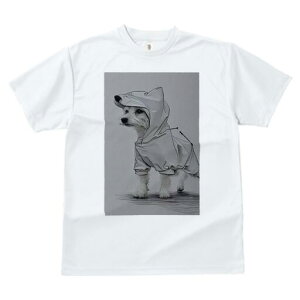 EGXgnChzCgeA TVc fB[X t@  t  vg JWA 킢 lԗp h ̃fUC ʔ CR[g EGXgnChz