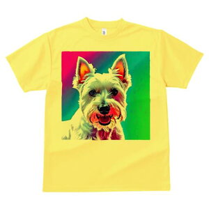 EGXgnChzCgeA TVc fB[X t@  t  vg JWA 킢 lԗp h ̃fUC ʔ EGXgnChzCgeA