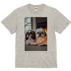 V[Y[ TVc fB[X t@  t  vg JWA 킢 lԗp h ̃fUC ʔ gF V[Y[