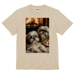 V[Y[ TVc fB[X t@  t  vg JWA 킢 lԗp h ̃fUC ʔ gF V[Y[  ѕz