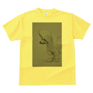 [NV[eA TVc fB[X t@  t  vg JWA 킢 lԗp h ̃fUC ʔ CR[g [NV[eA