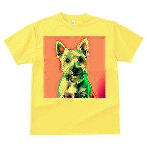 EGXgnChzCgeA TVc fB[X t@  t  vg JWA 킢 lԗp h ̃fUC ʔ EGXgnChzCgeA