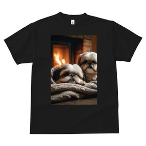 V[Y[ TVc fB[X t@  t  vg JWA 킢 lԗp h ̃fUC ʔ gF V[Y[