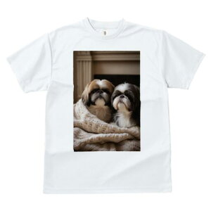 V[Y[ TVc fB[X t@  t  vg JWA 킢 lԗp h ̃fUC ʔ ѕz V[Y[