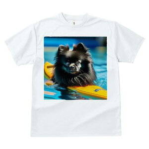 |jA TVc fB[X t@  t  vg JWA 킢 lԗp h ̃fUC ʔ  |jA T[t{[h v[