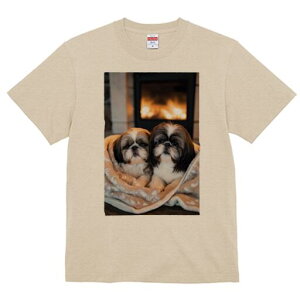 V[Y[ TVc fB[X t@  t  vg JWA 킢 lԗp h ̃fUC ʔ gF V[Y[ ѕz