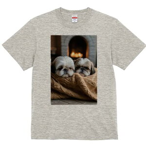 V[Y[ TVc fB[X t@  t  vg JWA 킢 lԗp h ̃fUC ʔ gF V[Y[ Z[^[