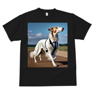 {]C TVc fB[X t@  t  vg JWA 킢 lԗp h ̃fUC ʔ X[c {]C lN^C  y