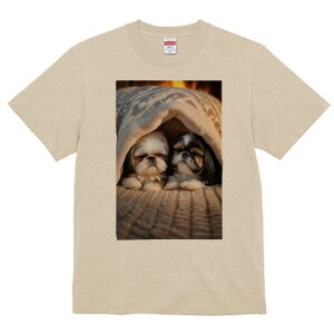 V[Y[ TVc fB[X t@  t  vg JWA 킢 lԗp h ̃fUC ʔ gF V[Y[ ѕz