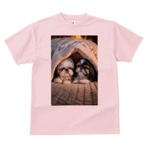 V[Y[ TVc fB[X t@  t  vg JWA 킢 lԗp h ̃fUC ʔ gF V[Y[ ѕz