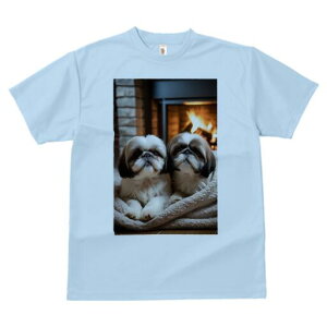 V[Y[ TVc fB[X t@  t  vg JWA 킢 lԗp h ̃fUC ʔ gF V[Y[ ѕz