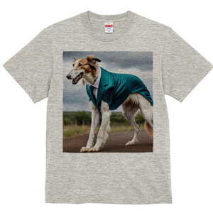 {]C TVc fB[X t@  t  vg JWA 킢 lԗp h ̃fUC ʔ X[c {]C lN^C