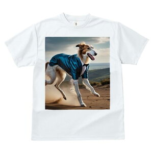 {]C TVc fB[X t@  t  vg JWA 킢 lԗp h ̃fUC ʔ X[c {]C lN^C